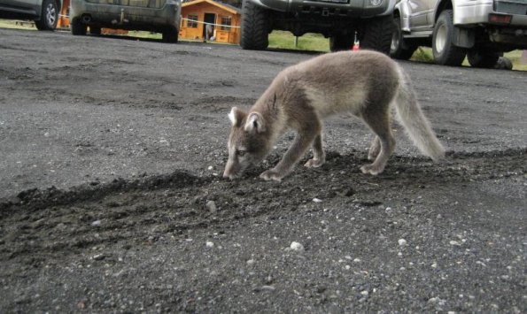 IMG_1332