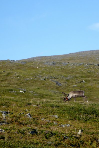 100812-P1000390