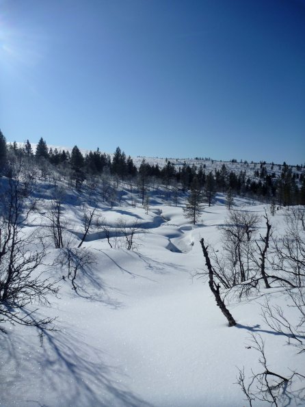 P1010670_v1