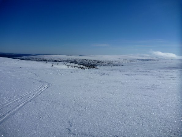 P1010674_v1